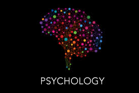 Therapy & Counselling
